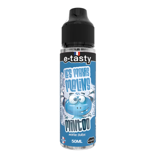 Mintoo 50ml - E-tasty